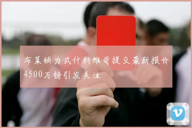布莱顿为武什科维奇提交最新报价4500万镑引发关注